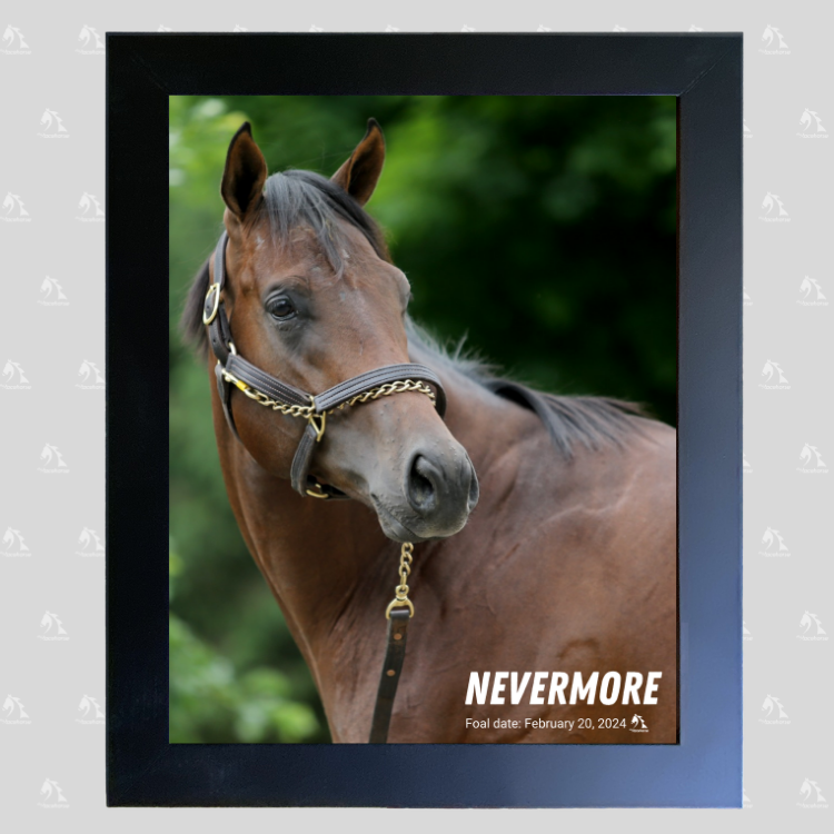 Nevermore Portrait Photo