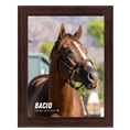 Load image into Gallery viewer, Bacio Portrait Photo
