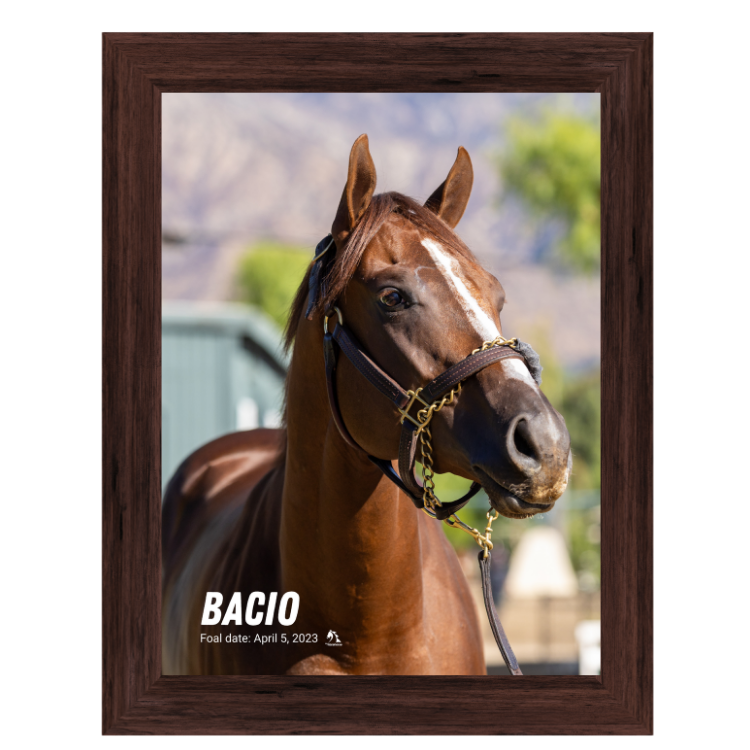 Bacio Portrait Photo