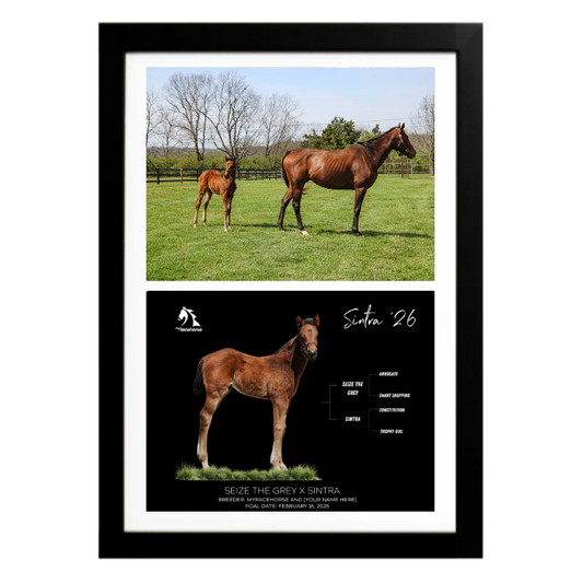 Seize the Grey X Sintra '26 - Collage Frame