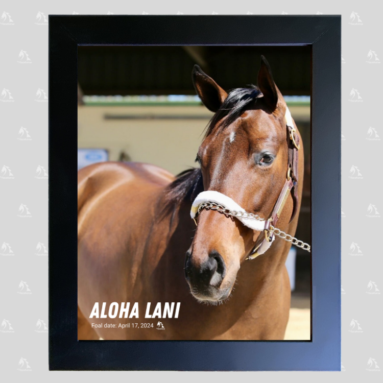Aloha Lani Portrait Photo