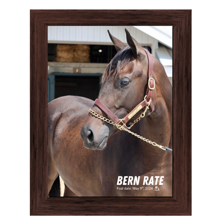 Bern Rate Portrait Photo