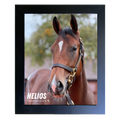 Load image into Gallery viewer, Helios Portrait Photo
