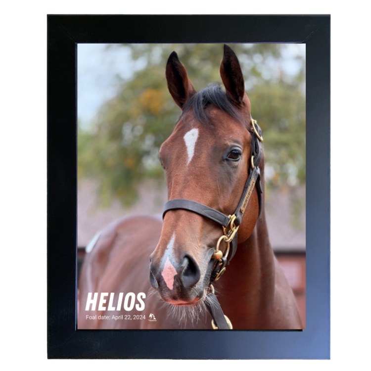 Helios Portrait Photo