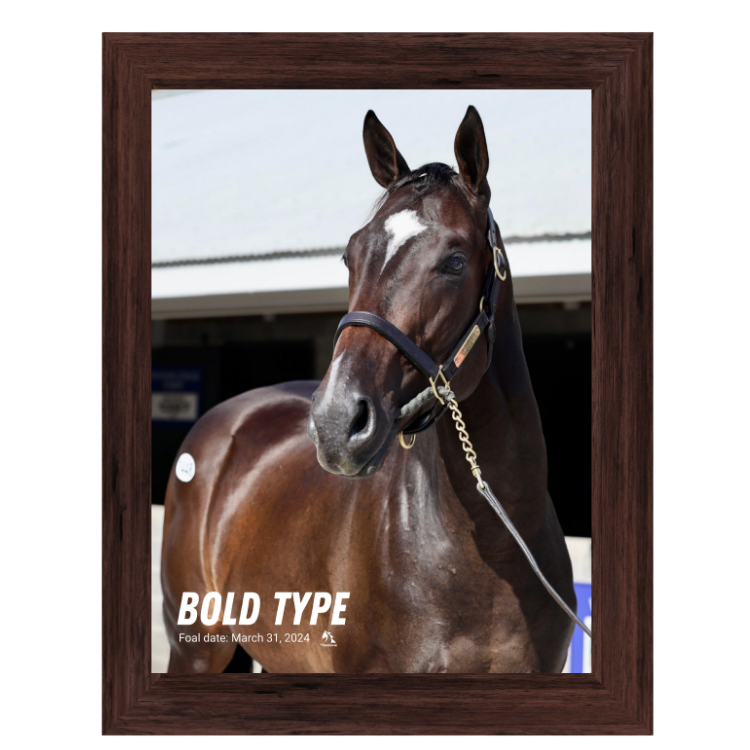 Bold Type Portrait Photo