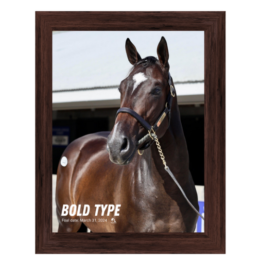 Bold Type Portrait Photo