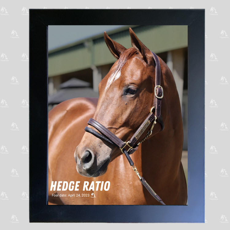 Hedge Ratio Portrait Photo