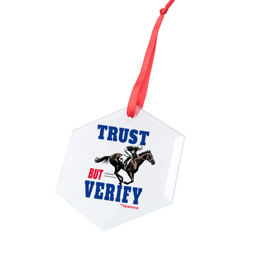 Trust but Verify Hexagonal Glass Ornament