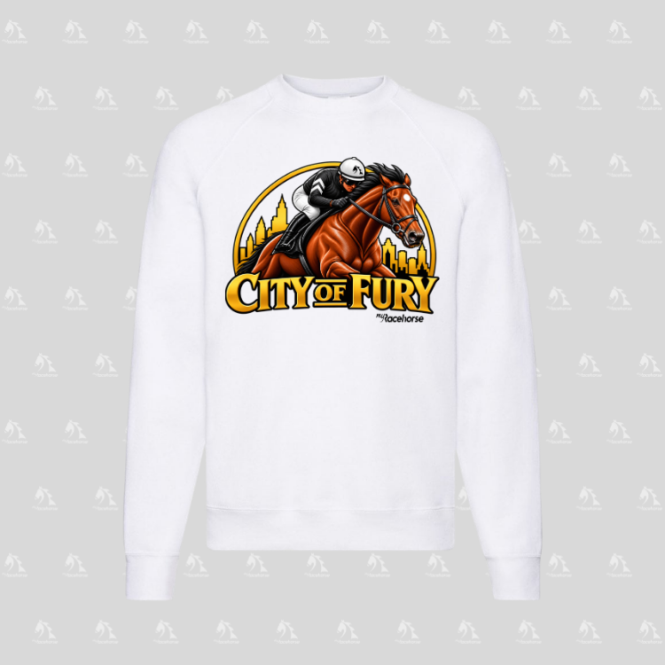 City of Fury Unisex Crewneck Sweater