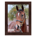 Load image into Gallery viewer, Helios Portrait Photo
