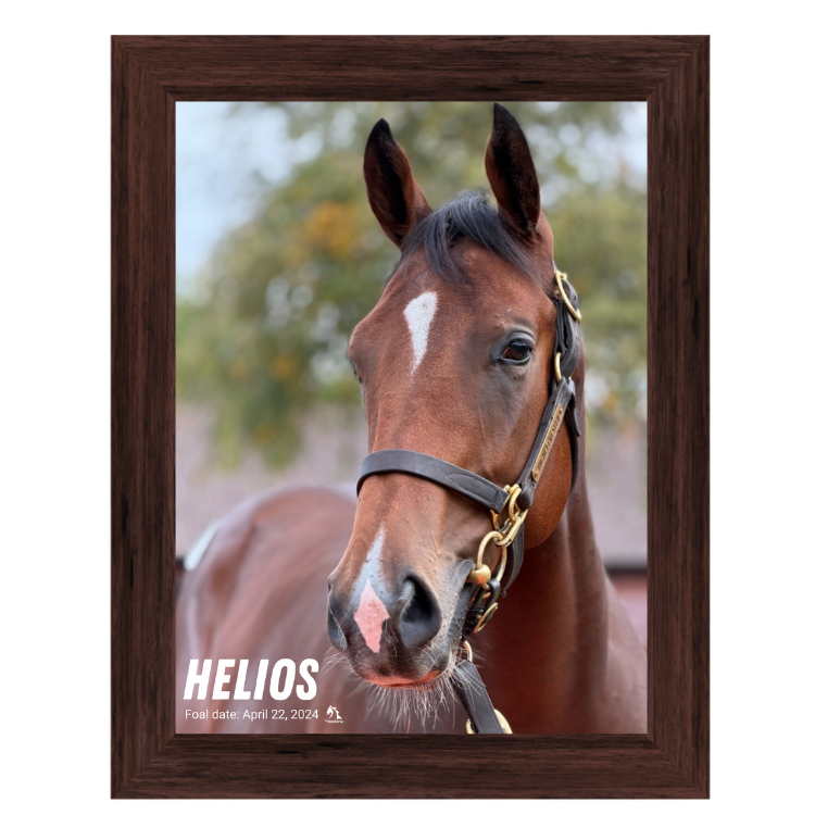 Helios Portrait Photo