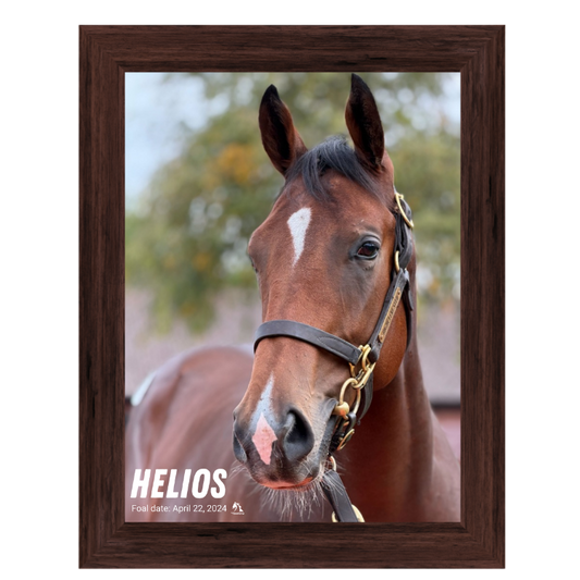 Helios Portrait Photo