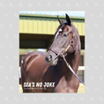 Load image into Gallery viewer, Sea's No Joke Portrait Photo

