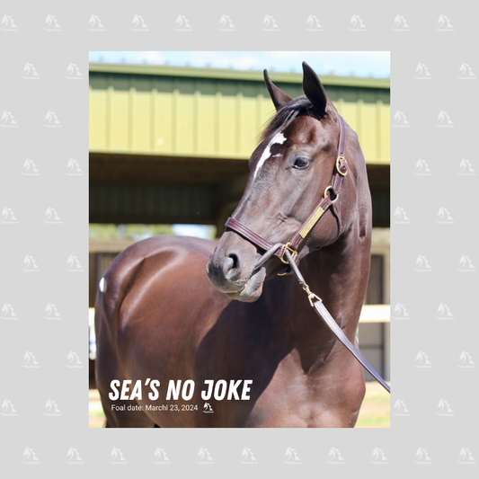 Sea's No Joke Portrait Photo