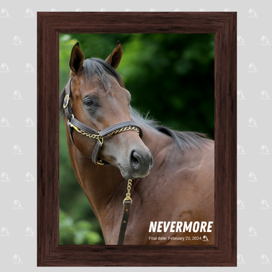 Nevermore Portrait Photo