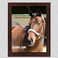 Load image into Gallery viewer, Aloha Lani Portrait Photo
