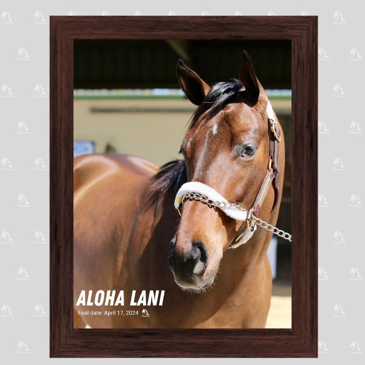 Aloha Lani Portrait Photo
