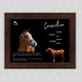 Load image into Gallery viewer, Conviction Owner Photo
