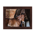Load image into Gallery viewer, Vekoma X Littlest Warrior 26' Candid Photo
