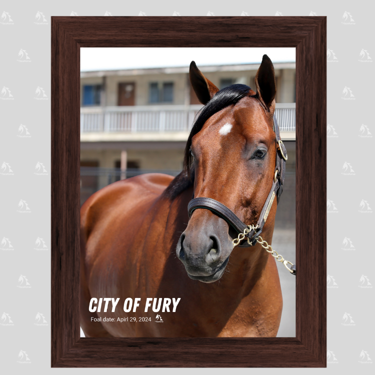 City of Fury Portrait Photo
