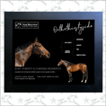 Load image into Gallery viewer, Sam Houston Racing Club - Onthethirstyside Owner Photo
