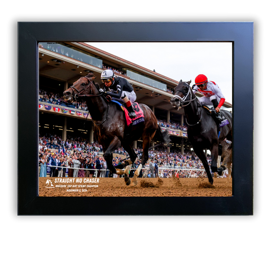 Straight No Chaser Breeders' Cup Dirt Sprint Champion - Action Shot #2