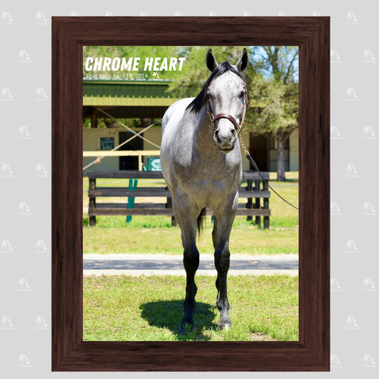 Chrome Heart Portrait Photo