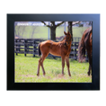 Load image into Gallery viewer, Seize the Grey X Community Adjusted 26' Candid Photo
