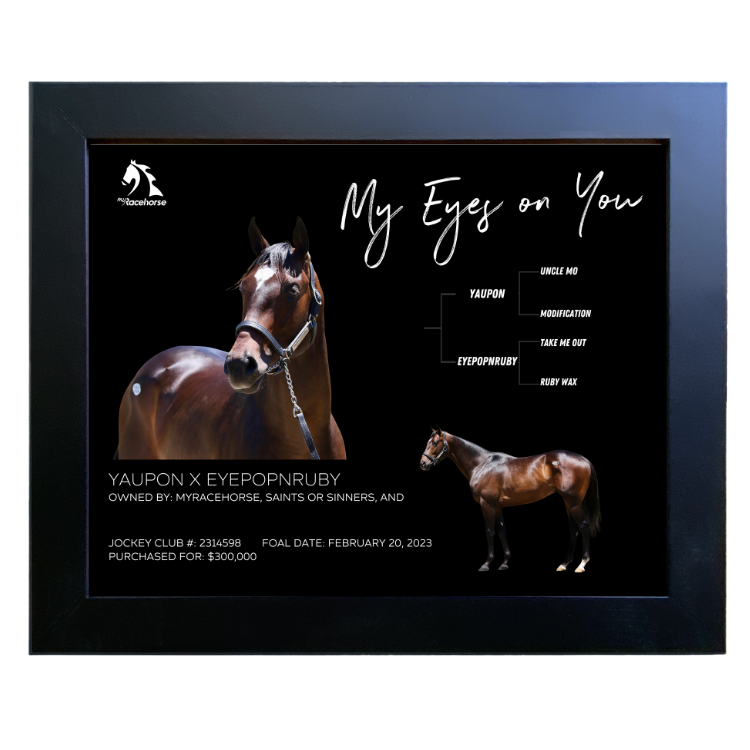 My Eyes On You Owner Photo