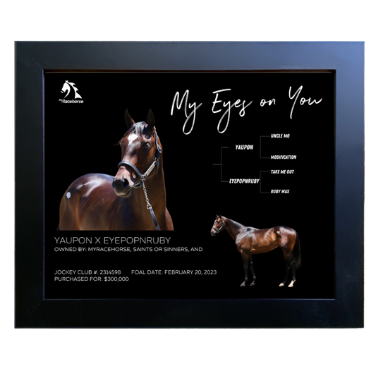 My Eyes On You Owner Photo