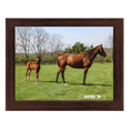 Load image into Gallery viewer, Seize the Grey X Sintra 26' Candid Photo
