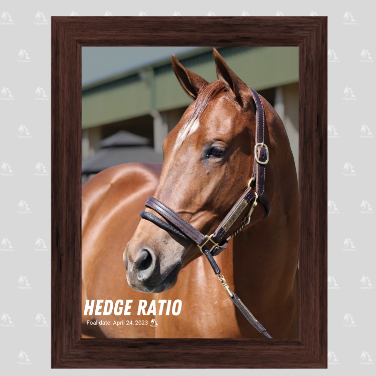 Hedge Ratio Portrait Photo
