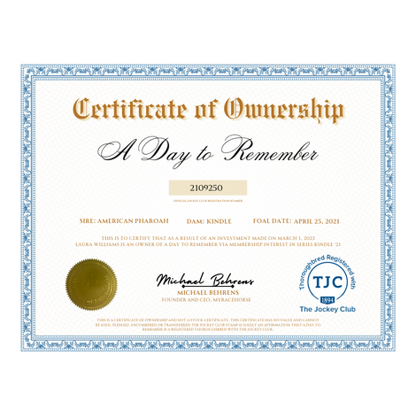 A Day to Remember Certificate of Ownership