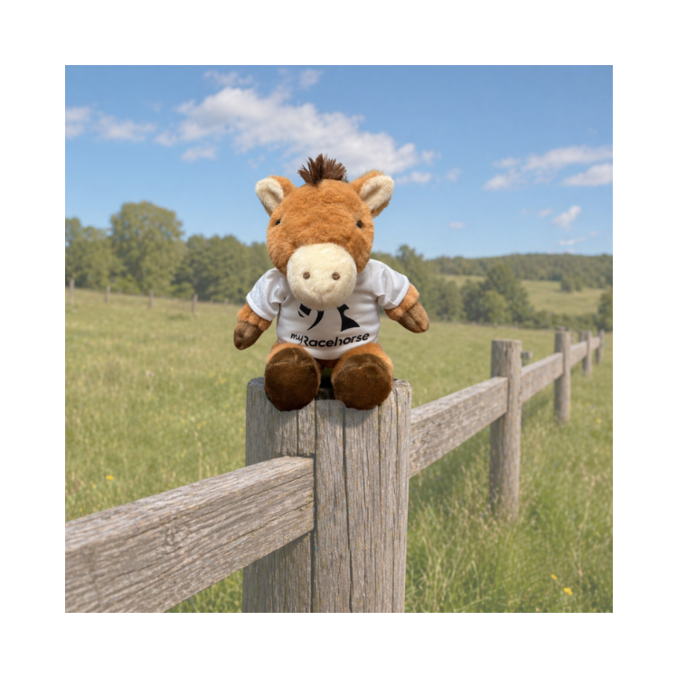 MyRacehorse Plushie
