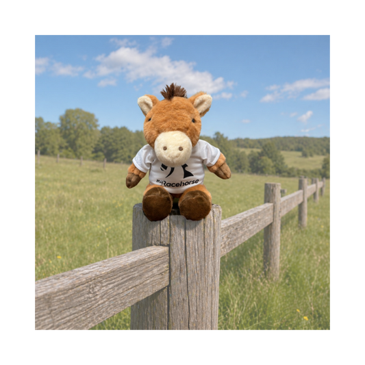 MyRacehorse Plushie