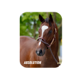 Load image into Gallery viewer, Absolution - Rectangular Magnet
