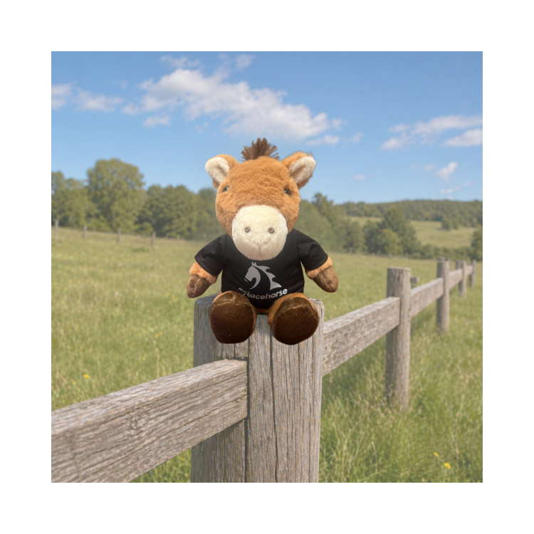 MyRacehorse Plushie