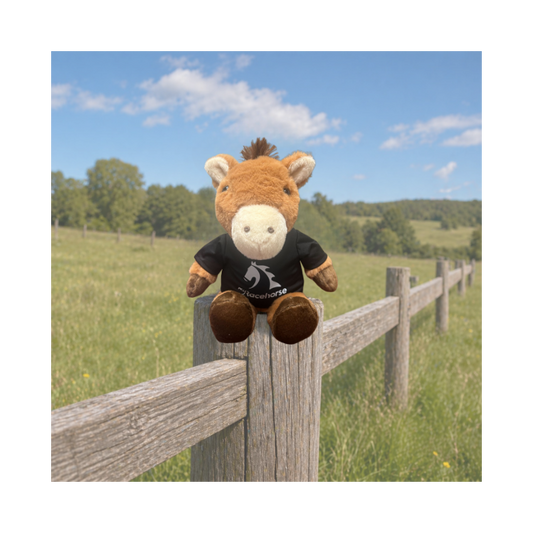 MyRacehorse Plushie