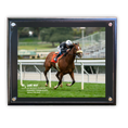 Load image into Gallery viewer, Lane Way Clocker's Corner Stakes Action Photo
