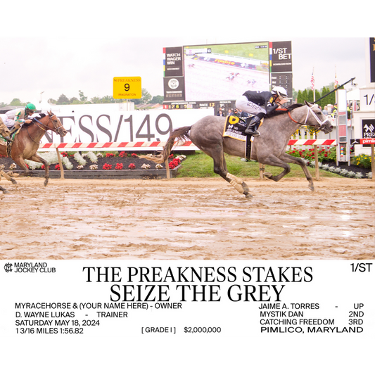 Seize the Grey Action Shot - Preakness 149