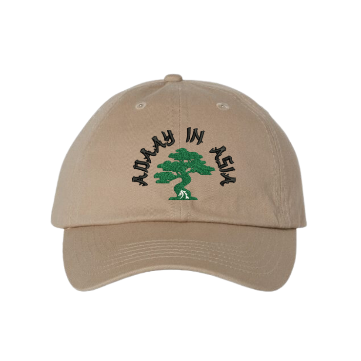 Adaay in Asia Dad Hat