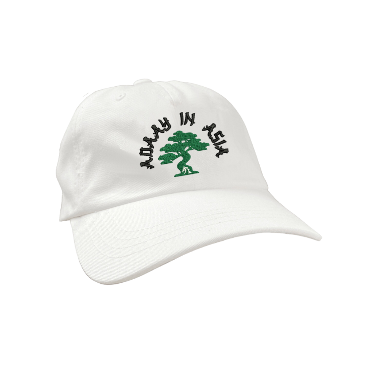 Adaay in Asia Dad Hat