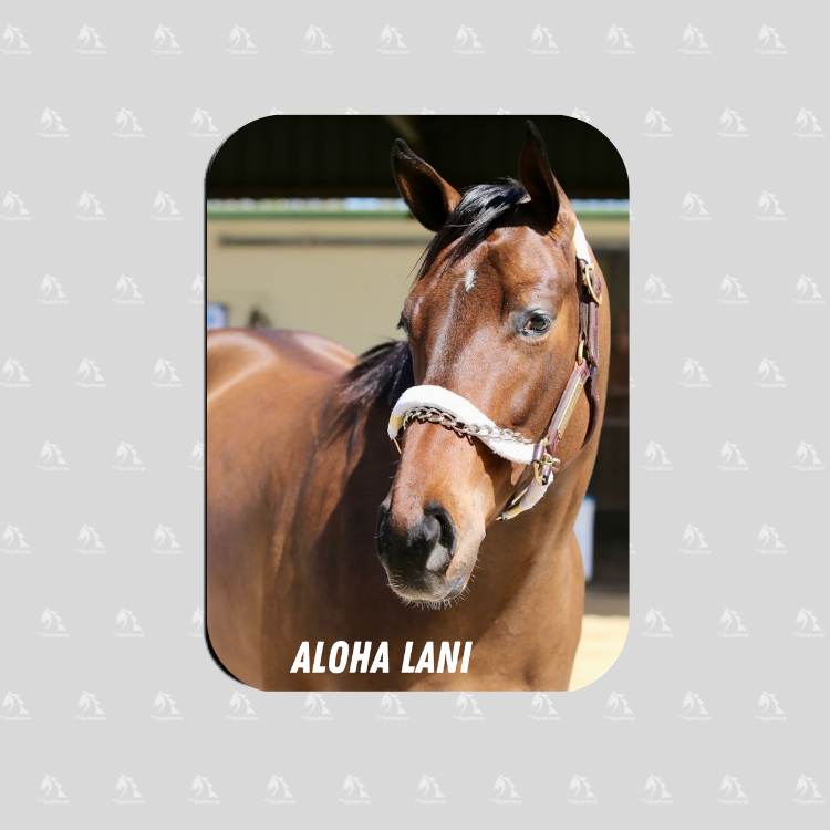 Aloha Lani - Rectangular Magnet