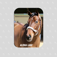 Load image into Gallery viewer, Aloha Lani - Rectangular Magnet
