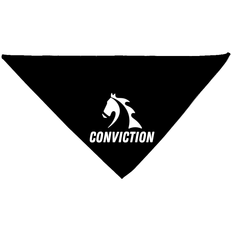 25% OFF - Conviction Custom MRH Dog Bandana