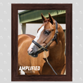 Load image into Gallery viewer, Amplified Portrait Photo

