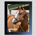 Load image into Gallery viewer, Amplified Portrait Photo
