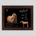 Load image into Gallery viewer, Amplified Owner Photo
