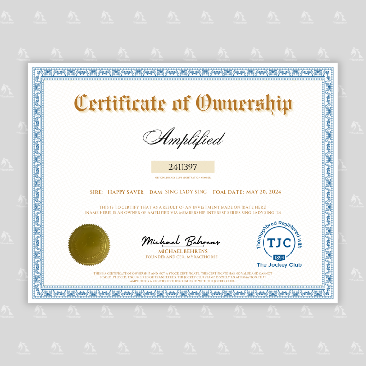 Amplified Certificate of Ownership