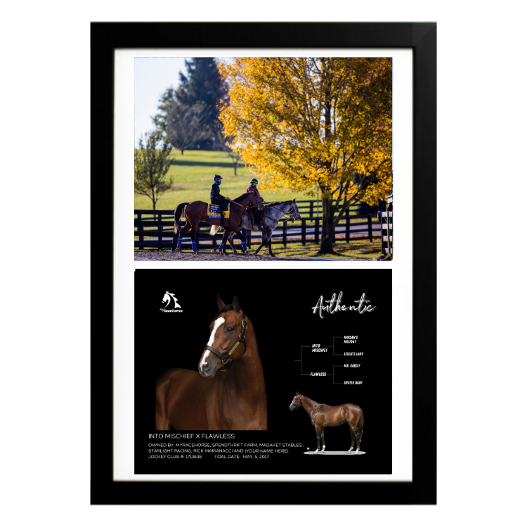 Authentic - Custom Breeders' Cup Win Photo / Owner Photo Collage